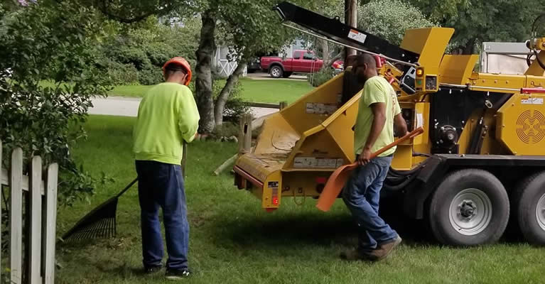 Mark's Professional Tree Service Grand Rapids, MI